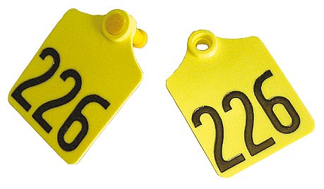 Bild 1 von Prima-Flex-Ohrmarken Gr.2 geprägt  / (farbe:) gelb / (Nummerierung) 76 - 100