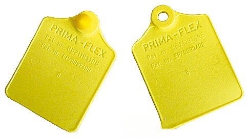 Bild 1 von Prima-Flex-Ohrmarken Gr. 2 ungeprägt  / (Farbe:) orange