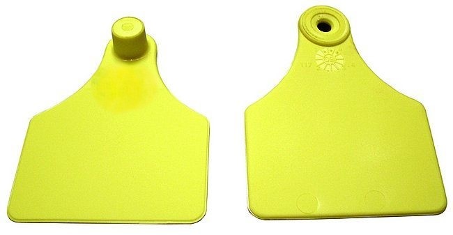 Bild 1 von Allflex-Ohrmarken  Gr.2  Lochteil, neutral  / (Farbe) orange